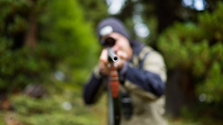 Dix-sept loups ont été abattus en Valais en dix-huit jours dans le cadre de la "régulation proactive" du prédateur autorisée par la Confédération et organisée par le canton (image d'illustration).