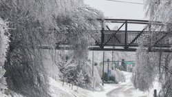 Le froid polaire qui s'abat sur les Etats-Unis a provoqué la mort d'une trentaine de personnes.