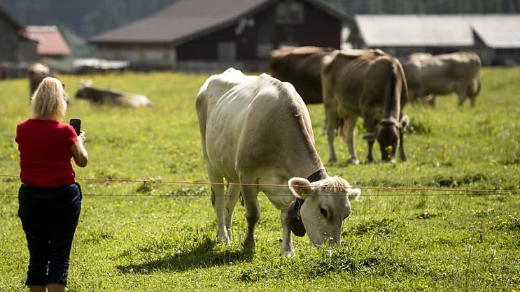 Pour la gauche et le PVL, la réforme agricole ne répond pas à la crise climatique et de la biodiversité (photo d'illustration).