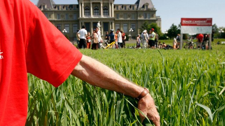 Qualifiées de "nouveaux OGM" par leurs détracteurs, les nouvelles techniques génomiques (NGT) permettent de modifier le génome d'une plante, mais sans introduire d'ADN étranger, contrairement aux OGM de première génération.