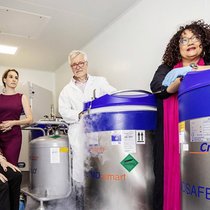 Peter Harboe-Schmidt, Daniela Marino, Fabienne Hartmann, Vincent Ronfard et Kathi Mujynya Ludunge (de g. à dr.):  au printemps 2021, le premier patient a été traité par Cutiss dans le cadre d’essais cliniques en Italie.