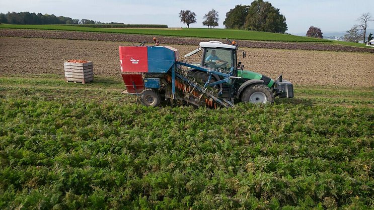 La Suisse a assez de bonnes terres agricoles pour l'instant. Mais la pression sur ces surfaces va s'intensifier (illustration).