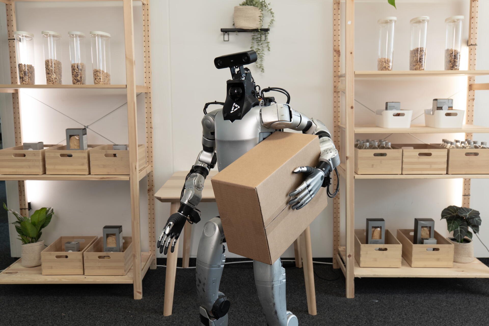Flexion Robotics