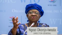 La directrice générale de l'Organisation mondiale du commerce (OMC) Ngozi Okonjo-Iweala a laissé entendre qu'une feuille de route sur la réforme de l'institution n'était pas indispensable si les ministres envoient des indications fortes sur cette question à Yaoundé (archives).