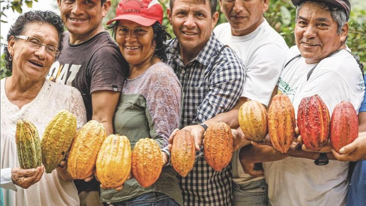 La Fondation Choba Choba souhaite renforcer le poids des producteurs de cacao du Pérou dans les orientations stratégiques des entreprises.