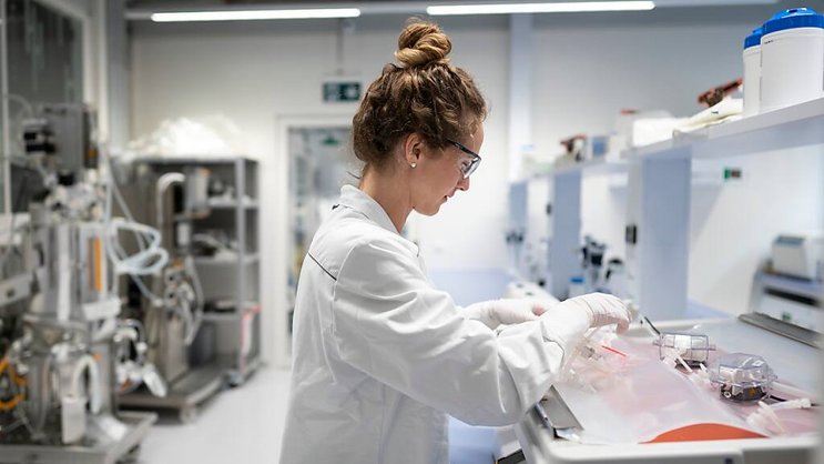 L'opération implique une extension des capacités du Biopark viégeois de Lonza, sur une surface de quelque 800 m2, ainsi que la création d'une centaine de postes de travail à l'horizon 2027 (archives).