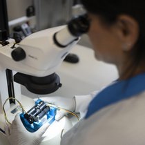 Au troisième trimestre de l’année dernière, le produit intérieur brut a reculé de 0,5% et le commerce extérieur a fléchi de près de 4% en glissement annuel.