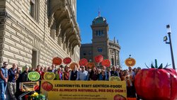 L'initiative populaire demande le maintien des contrôles après l'expiration du moratoire sur les OGM (archives).