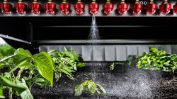 Chaque micro-buse est activée individuellement, ce qui permet de cibler la dose d’herbicides.