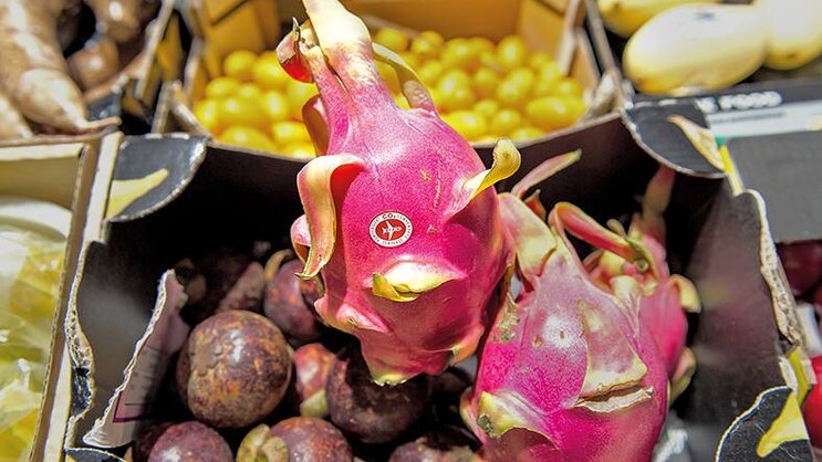 Les fruits du dragon, majoritairement cultivés en Amérique du Sud ou en Asie, sont signalés chez Coop par le logo "By Air" et le CO2 généré est compensé.