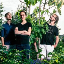 Sequoia, la société de capital-risque la plus réputée du monde, croit également aux perspectives de croissance de Ledgy. Les trois physiciens Ben Brandt, Yoko Spirig et Timo Horstschäfer (de g. à dr.) devant un arbre qu’ils ont eux-mêmes planté.