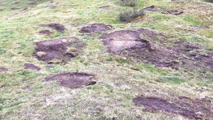 L'utilisation de lourdes machines dans les fragiles zones d'estivage est dévastatrice, selon Pro Natura.