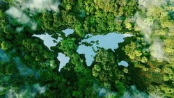 World