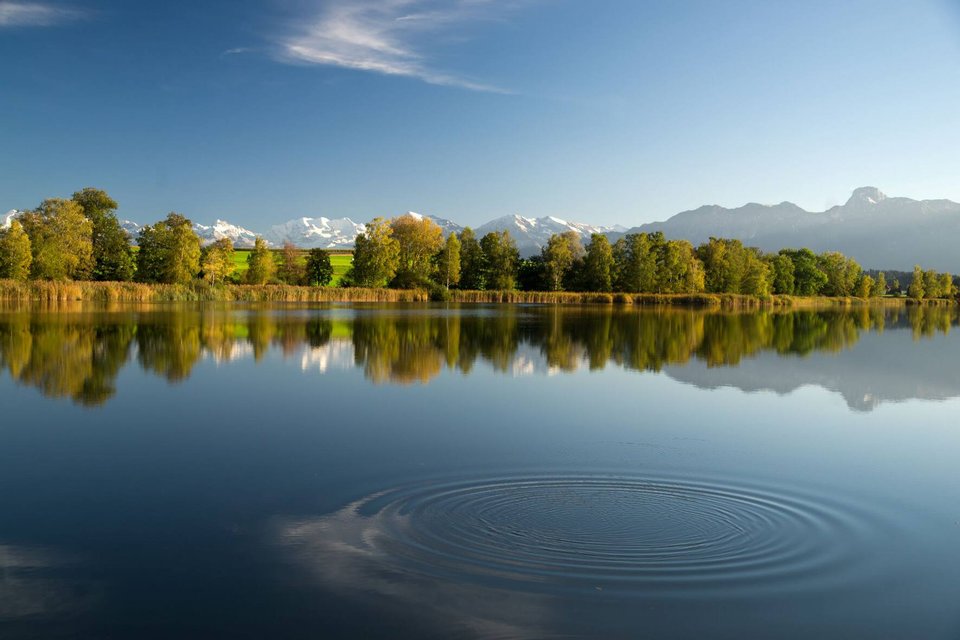 Gerzensee