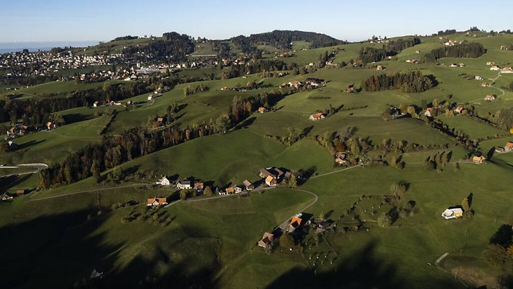 Le nouvel outil développé par l'institut WSL permet de mieux cerner la répartition des espèces végétales et leurs réactions possibles aux changements environnementaux (archives).