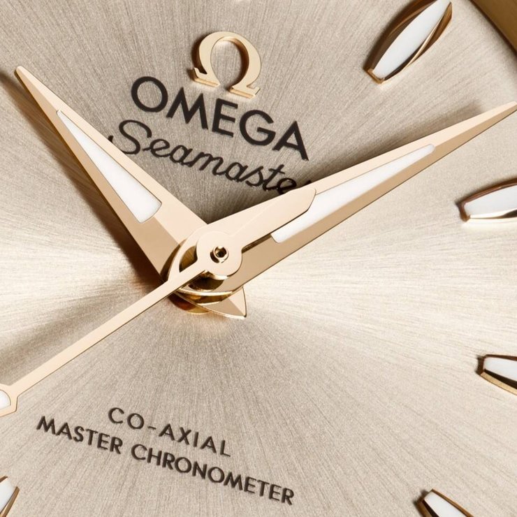 Omega Aqua Terra