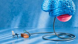 Les utilisateurs de ChatGPT étaient cet été 1,76 milliard dans le monde, selon la société d’études Similarweb. Deux mois après son lancement à la fin novembre 2022, le logiciel gratuit d’intelligence artificielle réunissait déjà 100 millions d’utilisateurs. Atteindre le même chiffre a demandé 78 mois à Google Translate, 30 mois à Instagram et 9 mois à TikTok.