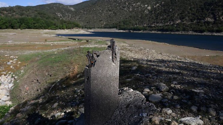 Avec ses pinèdes, la région des Pyrénées-orientales est sensible aux incendies.