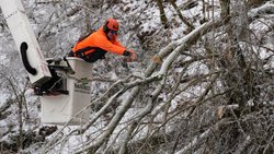 Une tronçonneuse pour abattre un arbre au-dessus d’une route à Nashville, dans le Tennessee, une région aussi touchée par la vague de froid.