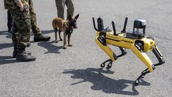 Un chien observe un robot de garde non armé, fabriqué par Boston Dynamics. En Suisse aussi, la robotique figure parmi les domaines de recherche prioritaires pour faire face aux menaces actuelles.