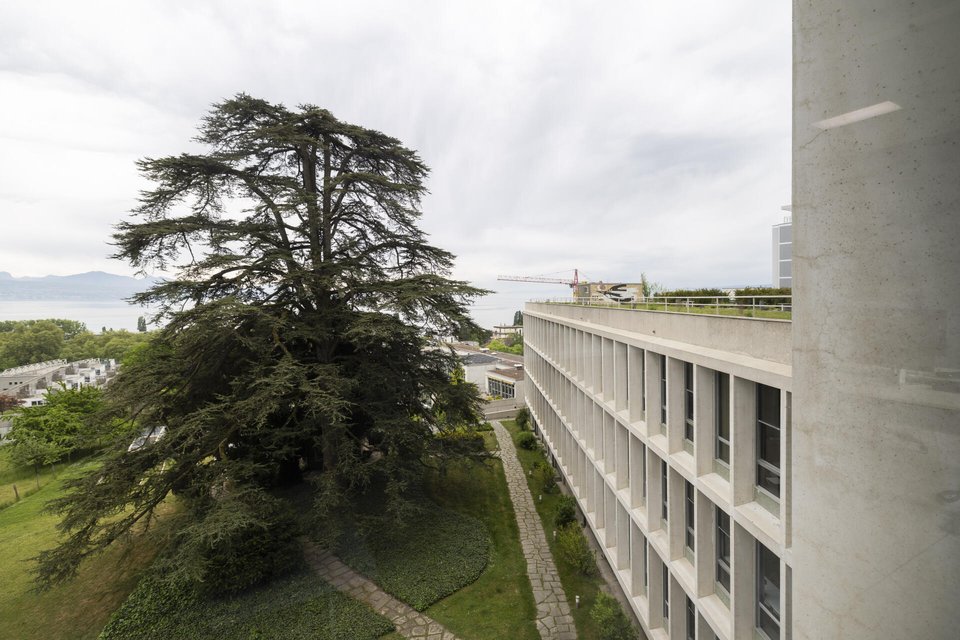 DEEPL, ARCHITECTURE, ASSURANCE, VAUDOISE, JEAN TSCHUMI, RENOVATION, BATIMENT,
