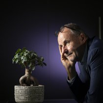 Stéphane Haefliger, associé chez Vicario Consulting, est l’auteur du livre «Le syndrôme du Bonsaï» qui analyse le divorce inquiétant entre les salariés et le travail.
