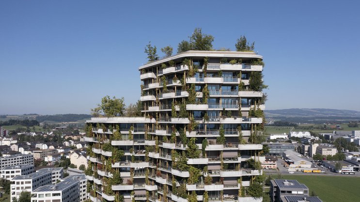 Lorsque l'immobilier s'adapte à la chaleur: la résidence Aglaya à Rotkreuz (ZG) reste fraîche grâce à sa façade claire et à sa végétalisation.