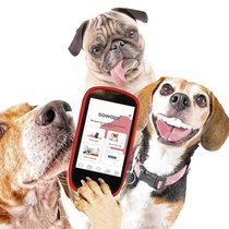 L’application Sowapi a été lancée en avril dernier.