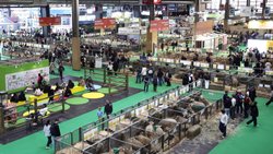 L'édition 2026 du Salon international de l'agriculture à Paris a enregistré une chute de 27,9% de sa fréquentation cette année.