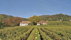 Berthaudin a repris l’exploitation du Clos de Roussillon, à Tartegnin, en 1961.