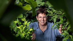 La start-up cofondée par Anne-Laure Héritier est aussi soutenue par la fondation The Ark pour travailler sur la détection du trouble du spectre de l’autisme.