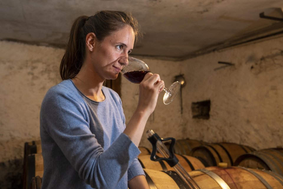 Laura Paccot, domaine La Colombe, Féchy (VD)