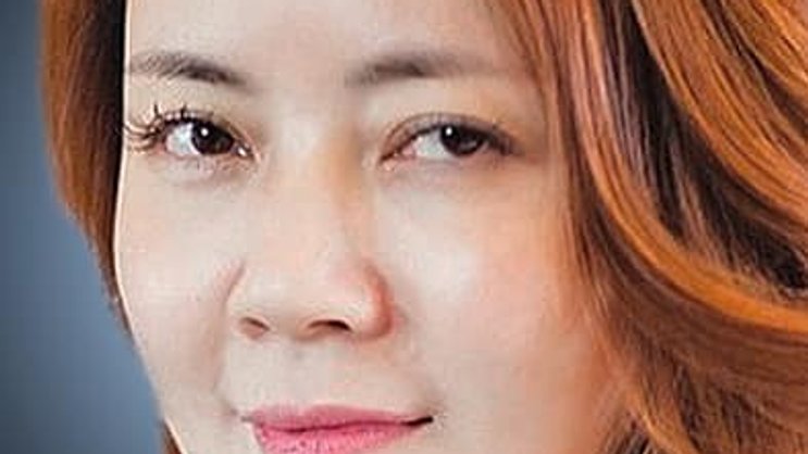 Lihua Pu