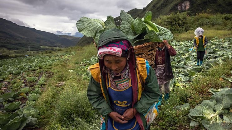Selon l'ONU, au rythme actuel, 575 millions de personnes vivront toujours dans l'extrême pauvreté en 2030, loin de l'éradication espérée. Or 342 millions (60%) d'entre elles seront des femmes, soit environ une femme sur douze dans le monde.