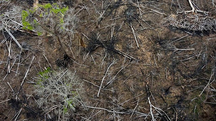 L'association Sherpa a porté plainte contre BNP Paribas, Crédit Agricole, BPCE et Axa pour "blanchiment et recel", les accusant de soutien à des entreprises responsables de "déforestation illégale" au Brésil. (archives)