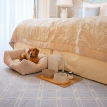 En fonction de l’établissement, il faut débourser entre 20 et 50 francs pour prendre son chien (ici, le teckel Heidi) dans sa chambre d’hôtel.
