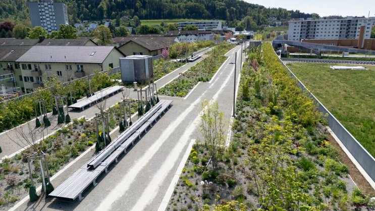 Là où le bruit et la pollution d'une autoroute péjorait la qualité de vie d'un quartier durant quatre décennies, un cadre presque bucolique a vu le jour (archives).