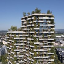 Lorsque l'immobilier s'adapte à la chaleur: la résidence Aglaya à Rotkreuz (ZG) reste fraîche grâce à sa façade claire et à sa végétalisation.