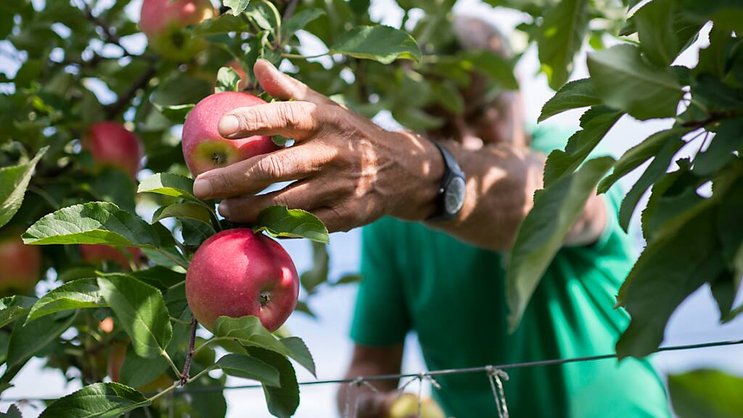 Pour les entreprises actives dans des secteurs présentant un risque d'exploitation plus élevé, tel que l'exploitation minière, l'industrie textile ou l'agriculture, des seuils de 250 employés et 40 millions d'euros de chiffre d'affaires s'appliquent (archives).
