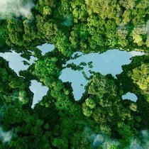 World