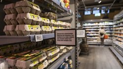 En 2024, les ventes d’œufs ont augmenté de 5,7% en Suisse, soit 96 millions d’unités.