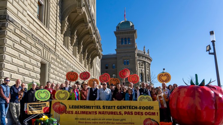 L'initiative populaire demande le maintien des contrôles après l'expiration du moratoire sur les OGM (archives).