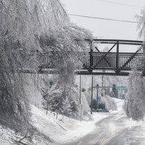 Le froid polaire qui s'abat sur les Etats-Unis a provoqué la mort d'une trentaine de personnes.