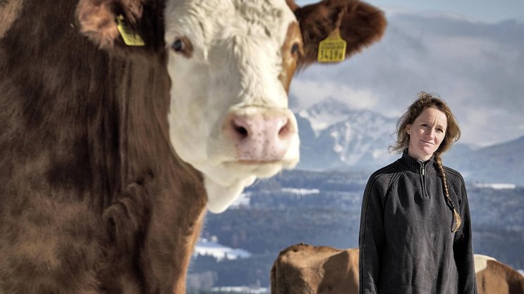 A Corcelles-le-Jorat (VD), l’agricultrice Anne Chenevard, présidente de la coopérative Fairswiss.ch, constate une demande accrue de produits frais et locaux de la part des consommateurs.