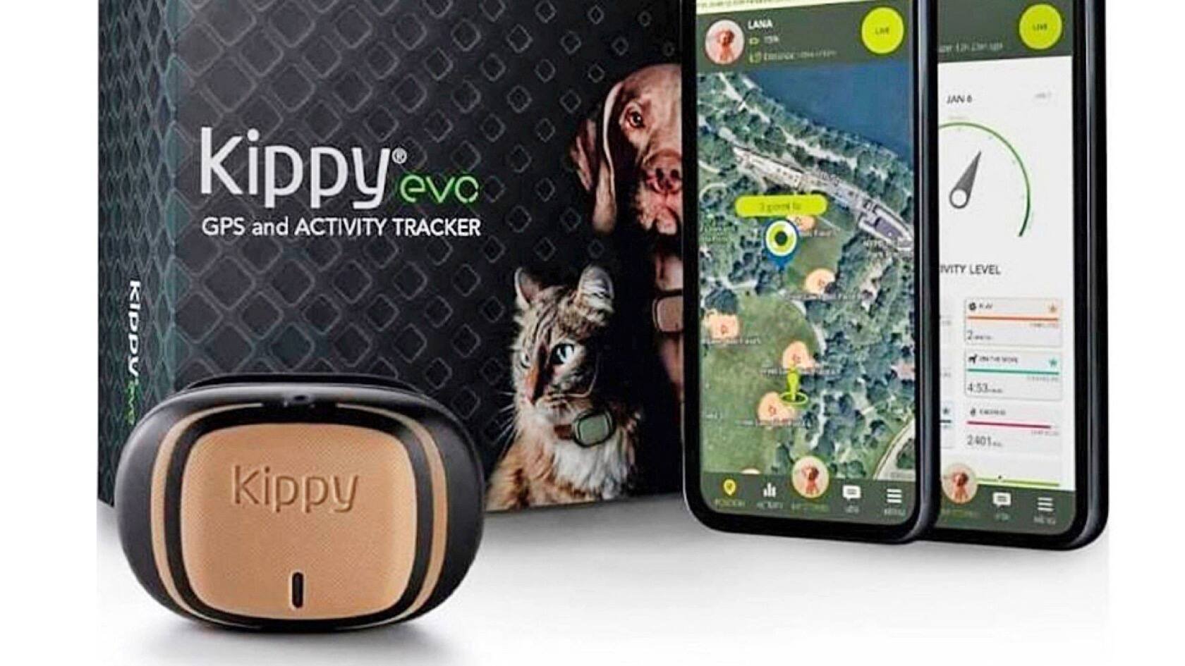 Kippy