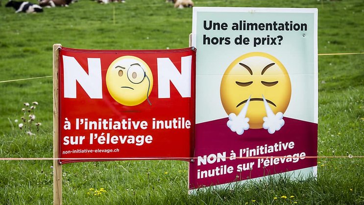 La Commission européenne veut mieux protéger, notamment, les colonies de pollinisateurs (image d'illustration).