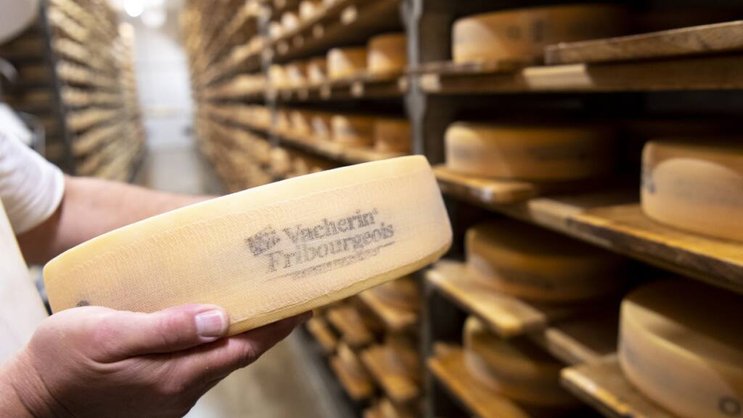 Très apprécié en Suisse, le Vacherin fribourgeois AOP connait également un succès grandissant à l’extérieur des frontières (archives).