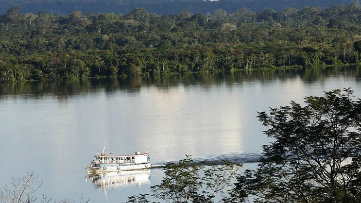 Le programme vise à lever jusqu'à un milliard d'euros d'investissements verts dans l'Amazonie brésilienne et guyanaise, a annoncé la présidence française.