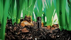 Malgré la pandémie actuelle, les idées de business liées à l’écologie ont plus que jamais le vent en poupe. Ici, la start-up barcelonaise Bioo utilise le potentiel de la photosynthèse pour produire du courant électrique.