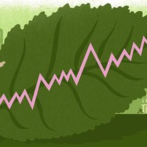 Les dirigeantes et dirigeants peuvent également jouer un rôle en tant que levier de la mise en oeuvre du développement durable.